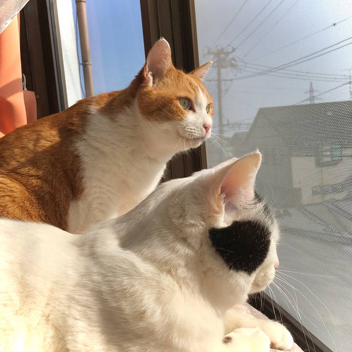 E75c6b13 ca4e 4867 88c0 378be5c6d16e 1615442732052