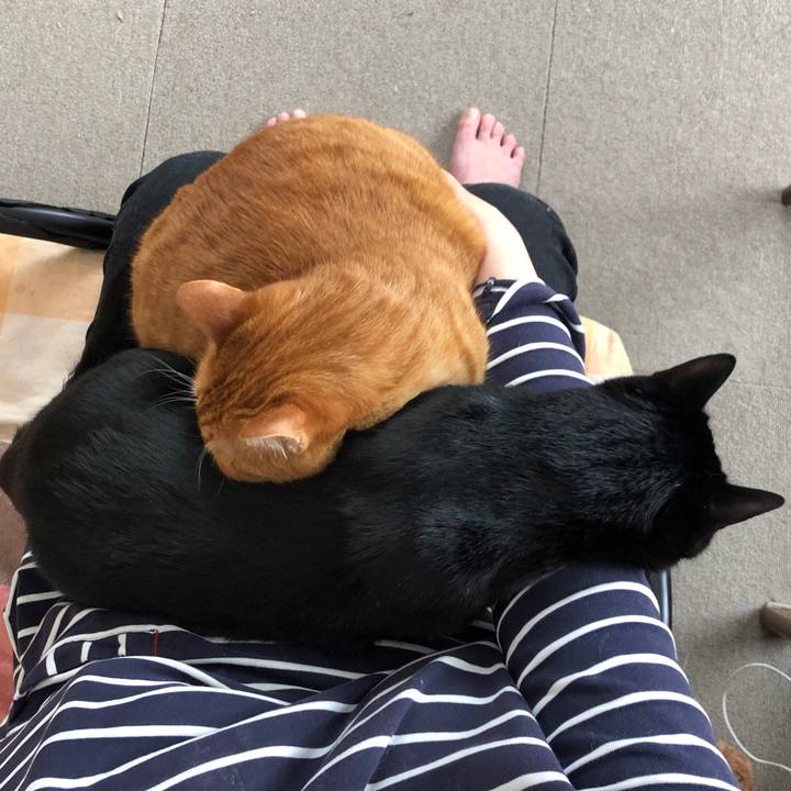 E75c95ee 254d 40a3 9d74 39af49c2b018 1676780679534