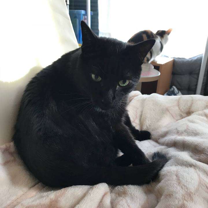 E75ce4d3 392a 4736 9e02 217639c3d5c5 1512869285789