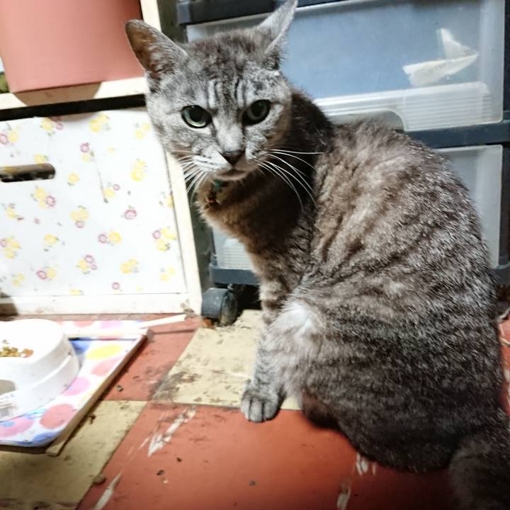 E75cf189 9599 4bfe 8276 f31cf4e21c4e 1567540415231