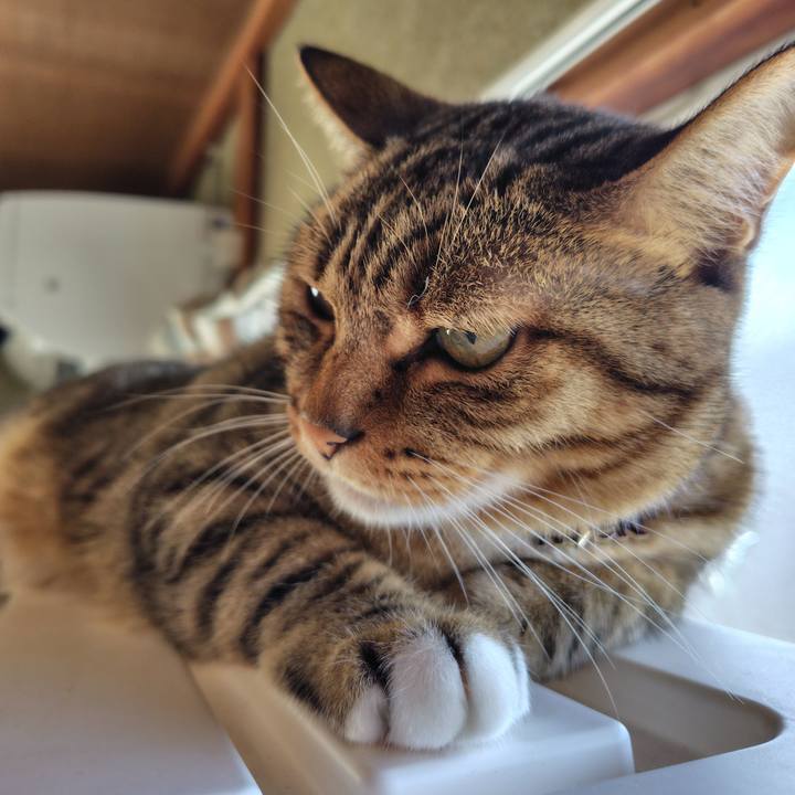 E75d12ca 65f6 42f7 aa35 6a6acb17d921 1763609256331