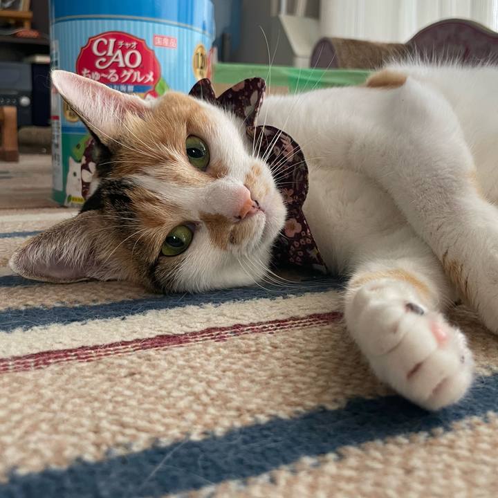 E75d379f 3ca8 4159 a96f 655e77d9a241 1754004691234