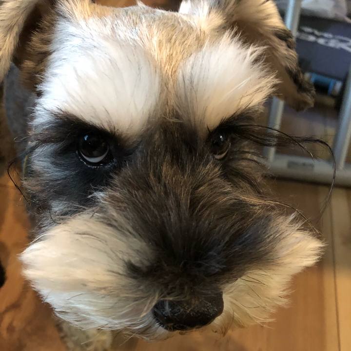 E75dbf0b f9f0 4526 b06e 324cdcd59af3 1540600239726