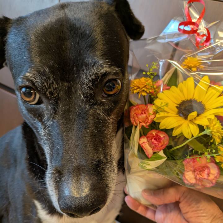 E75dcc20 de6b 457a 8876 57272d84a9ee 1755341348949