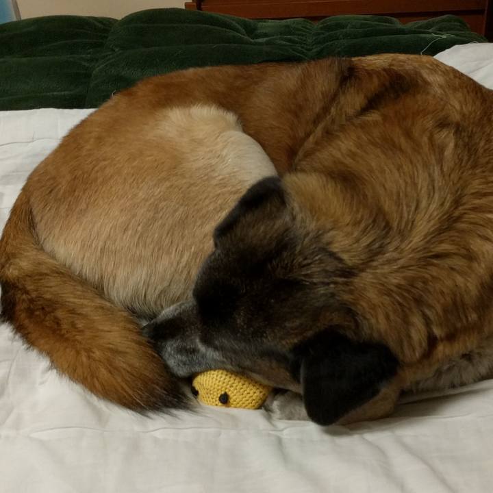 E75dd90c 132e 4b34 9fc5 2ffbf593fbf0 1711325291661