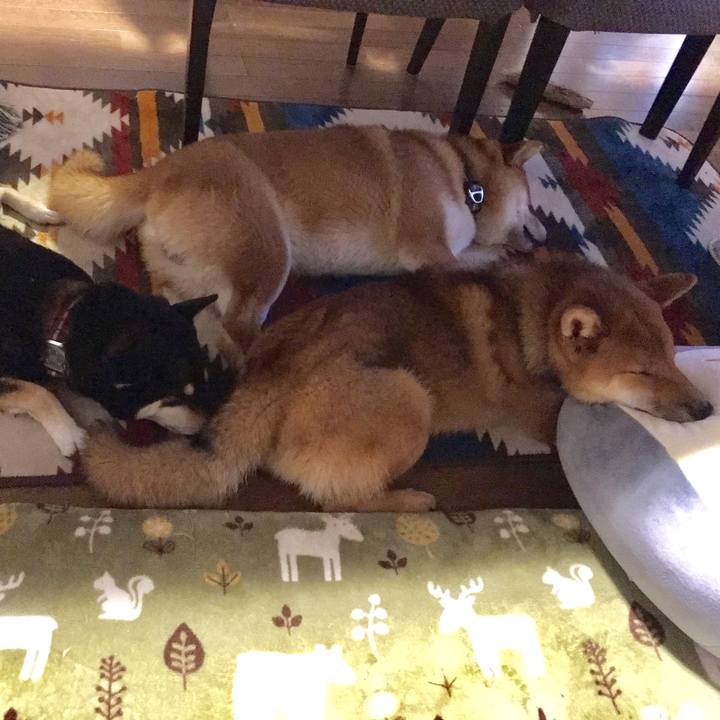 E75ddef9 95bb 4073 80bb ab5c7c279b6b 1516435922055