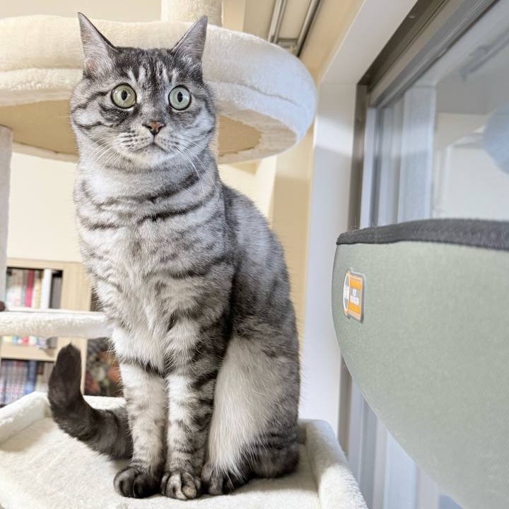 E75dfeb9 b400 42c2 a6c7 59f0d35d691c 1765939622334