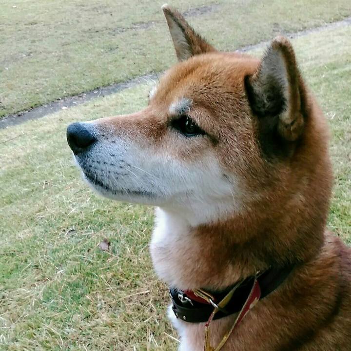 E75e0316 83d1 4ee5 abb3 cbce7bb54d39 1573435365521