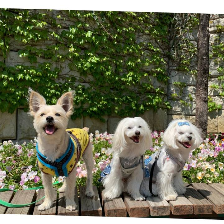 E75e1081 b87f 434e ac4c 03b2296e7aba 1619269596123