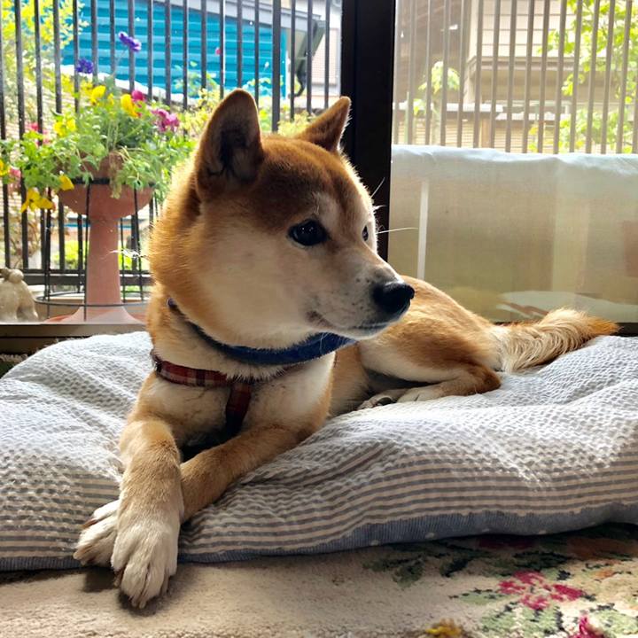 E75e2d8d b729 45de 8fca d619608a8ecc 1558593646522