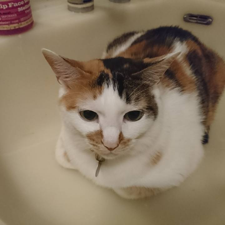 E75e6366 2364 42e4 8741 d1870cff6715 1529933959619