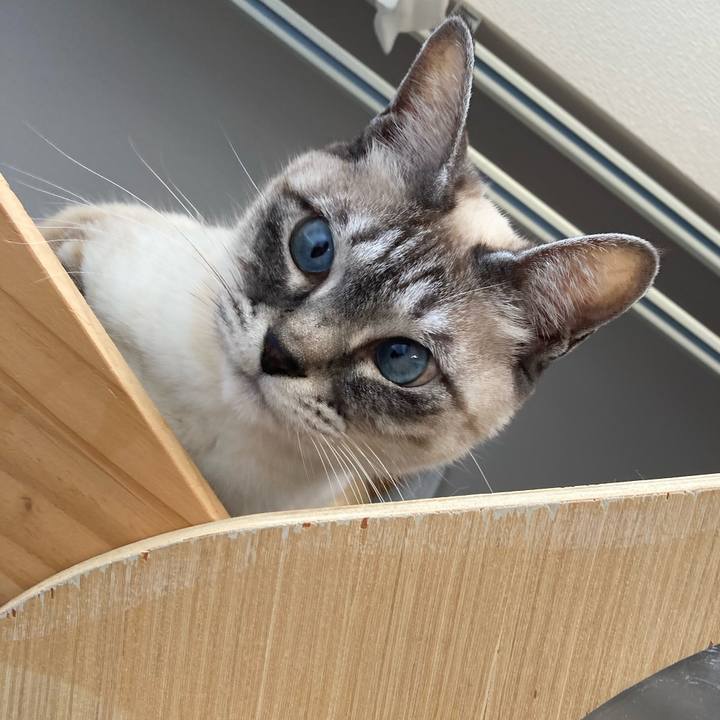 E75e8274 b767 455f bc1e 68f530a82cfd 1710379570184