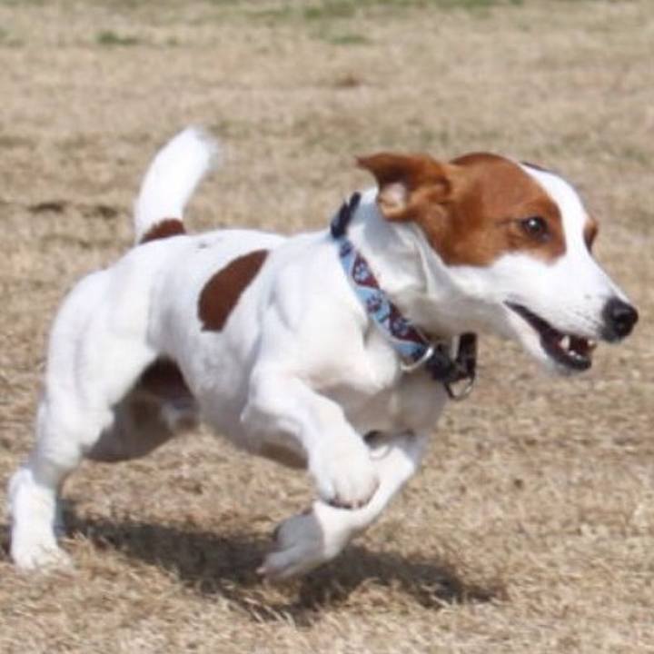 E75e8859 729f 4b3b 901a eb8898c4bd67 1520546207884