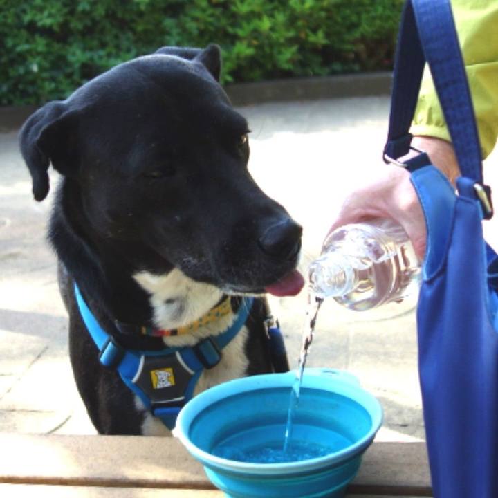 E75eb90d 4ff0 469e bdeb fd40f2a1c80a 1619484064816