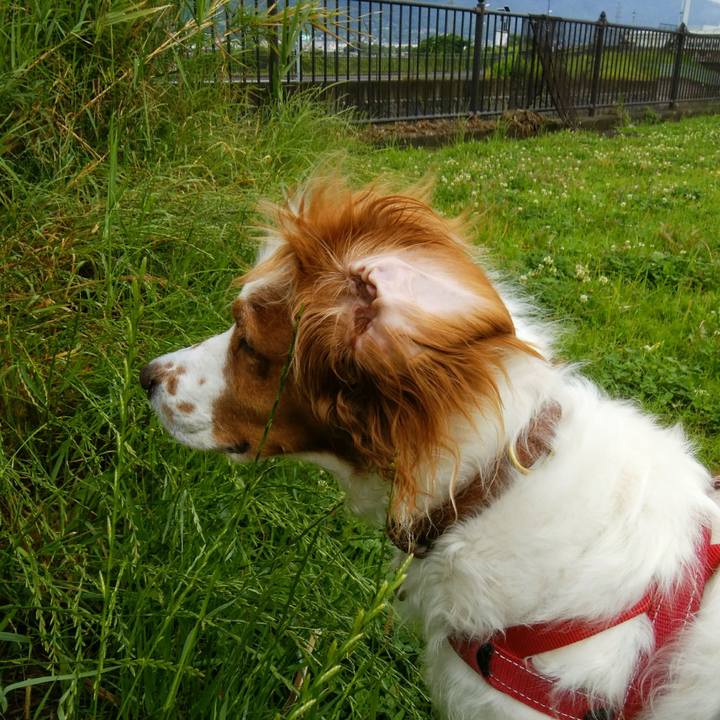 E75ed09c 29af 4cab bd8c 3d7ba43d35ce 1559906518464