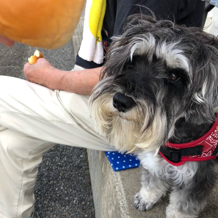 E75f0e12 97e5 4b4f 8ce2 1441fbb4bbf2 1529788927330