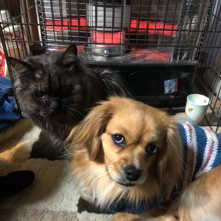 E75f708d d45f 42ae a147 9fa3c04aeee3 1547675939967