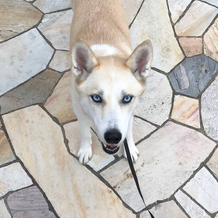 E75fabef a4da 402c 9de6 0f47577eb2e1 1533512434855