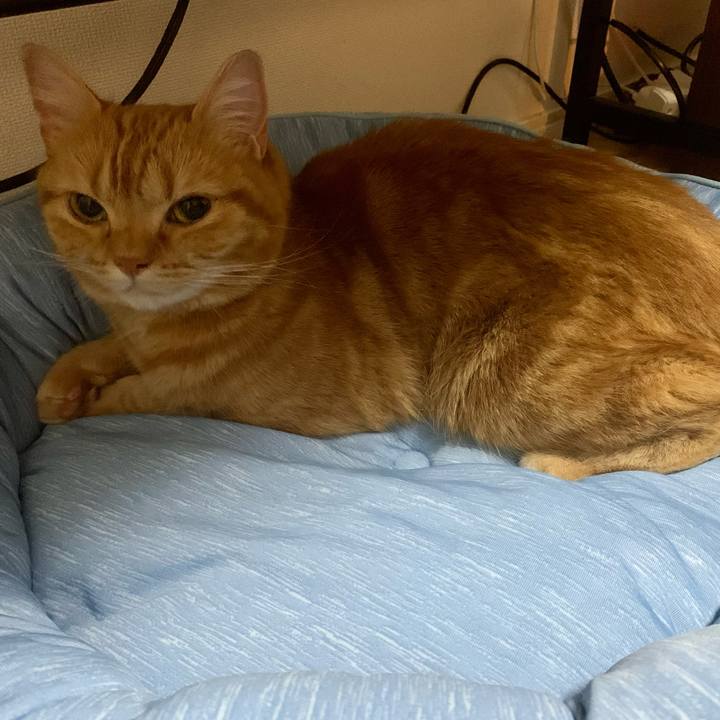 E75faf09 4977 4593 ba5d ef35b74f877d 1622108965693