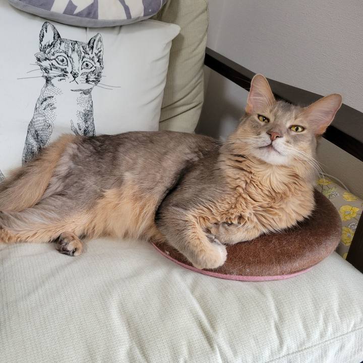 E75fb423 27f1 4d16 8e0e 4bbf337e24d5 1668515373228