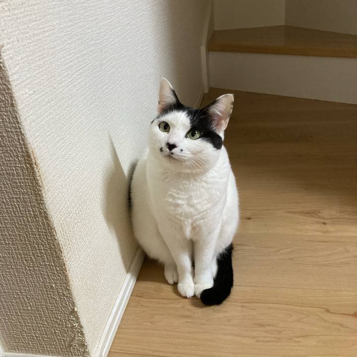 E75fc1e9 a6e7 4cbb b3cd 0d126b71b68c 1765656731349