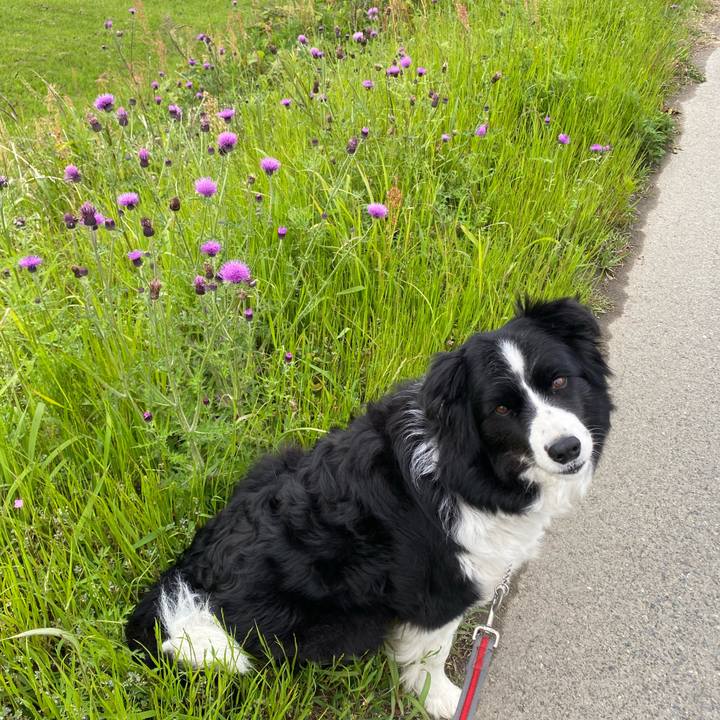 E75fe214 a8f5 49e8 ab24 6325a3488633 1620429328509