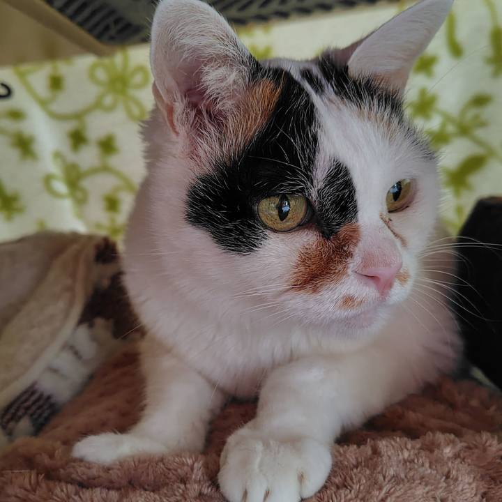 E7601cd7 689c 409c b6fd 09aee05cd778 1760265939071