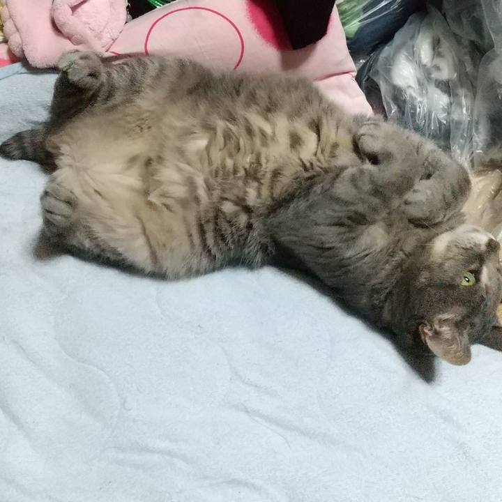 E7605677 ab55 41d6 89a2 e0b56ea6f372 1618048019874