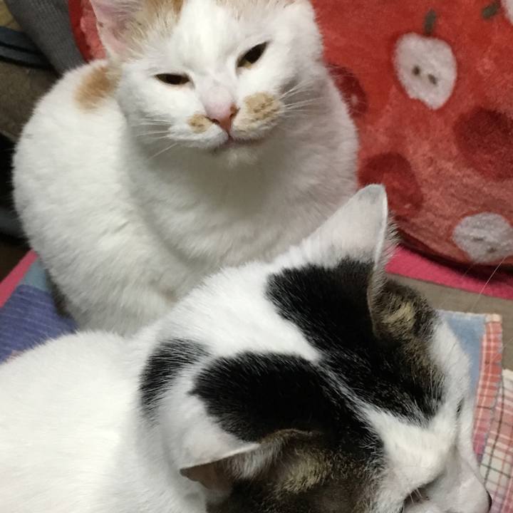 E760ccf9 085c 4f8a 8ca7 9d926d9f17a1 1512815431454