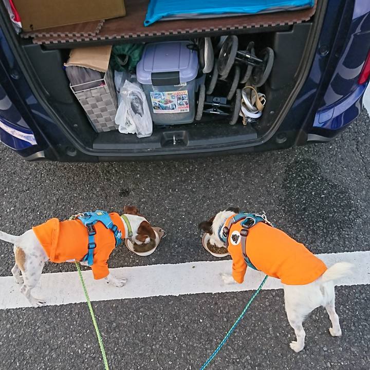 E7610387 11b7 4d40 a801 75aaee99ec71 1606173219309