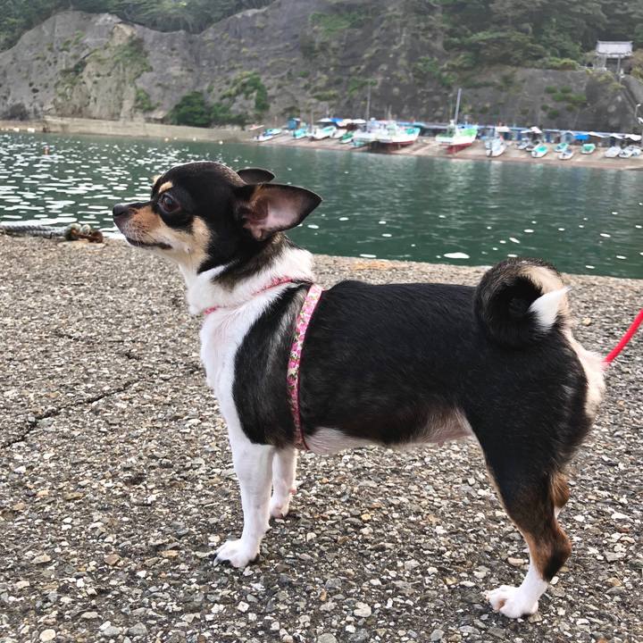 E76106af 9075 4f99 8861 0235befe7ebf 1535716874482