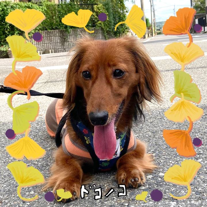 E7615218 34b4 45db b25c 3bf453c97b42 1730004416194