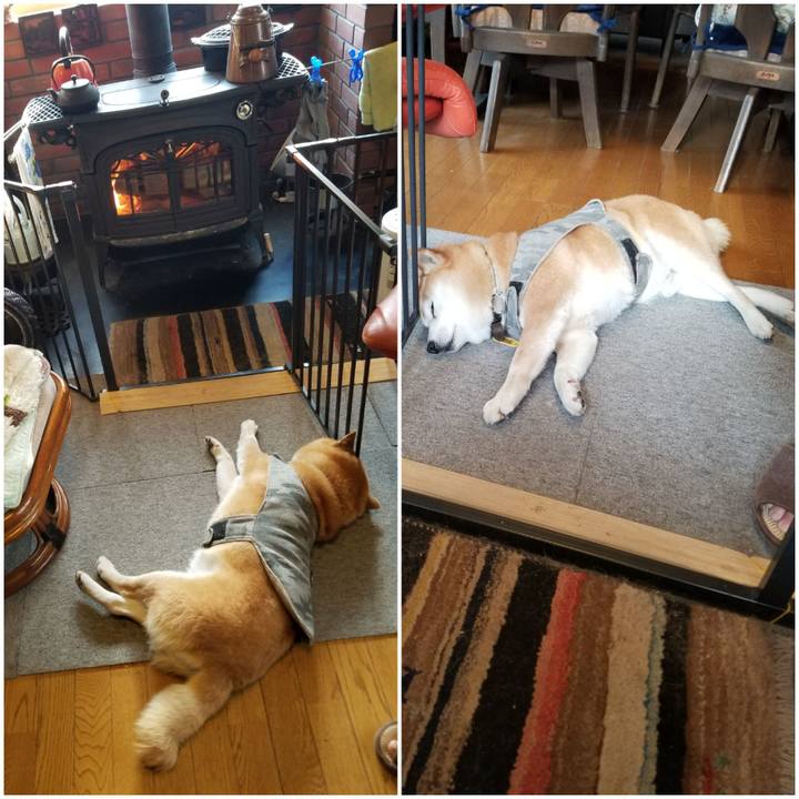 E7615379 780a 41ea 86d8 4e33a17a3e7d 1647040263130