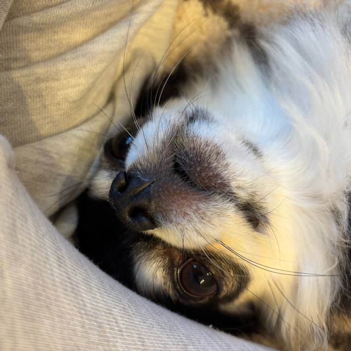 E7618798 35f7 4142 b33d 507f23695f95 1733587932995