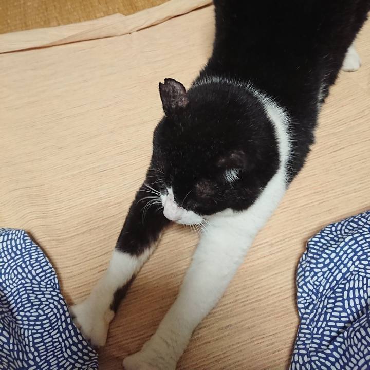 E761fb78 cb15 4028 893b 1716f3f9708c 1628682585012