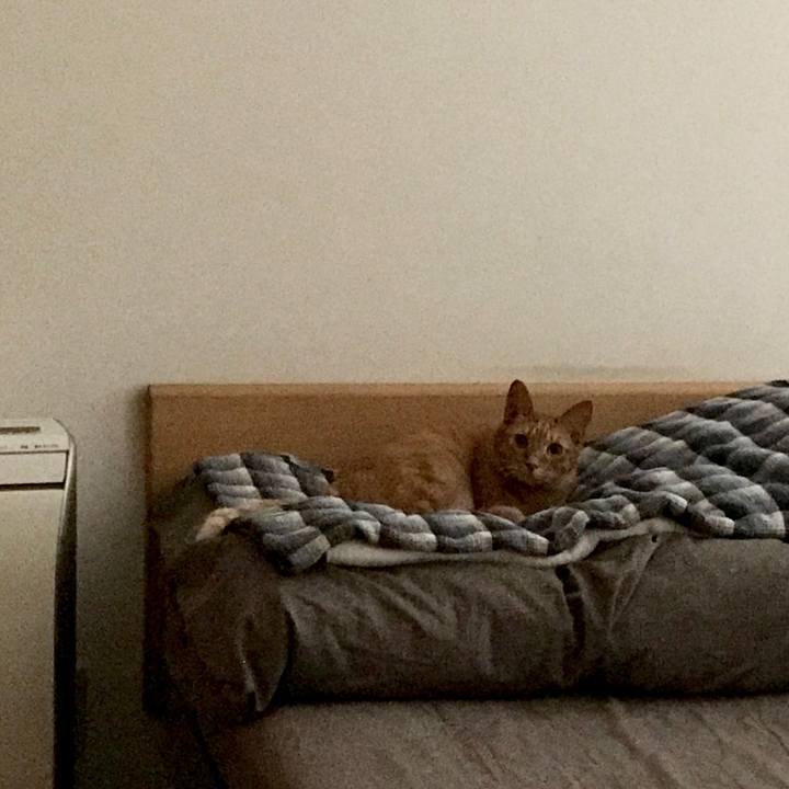 E76237ab 6e6b 4b37 bd3c 07fe991b7108 1565086594367