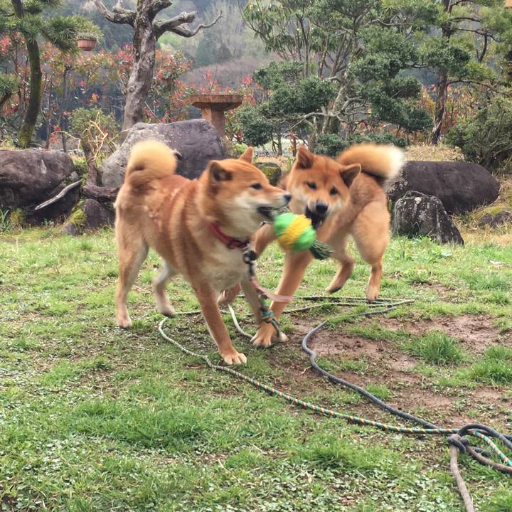 E7624f85 2f44 46c0 94db cff0e286f3cd 1523089758607