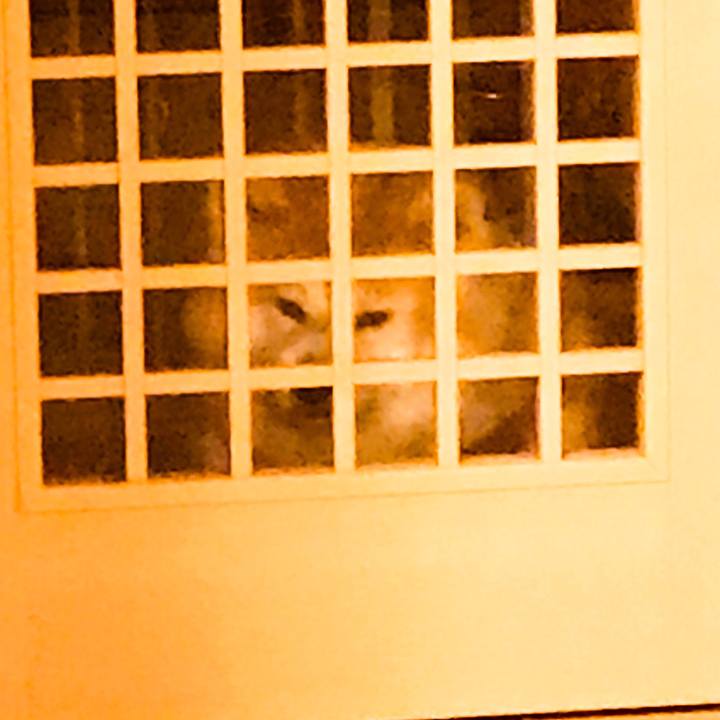 E762503c 154f 4ff5 8ad8 966ca73692e9 1554037233714