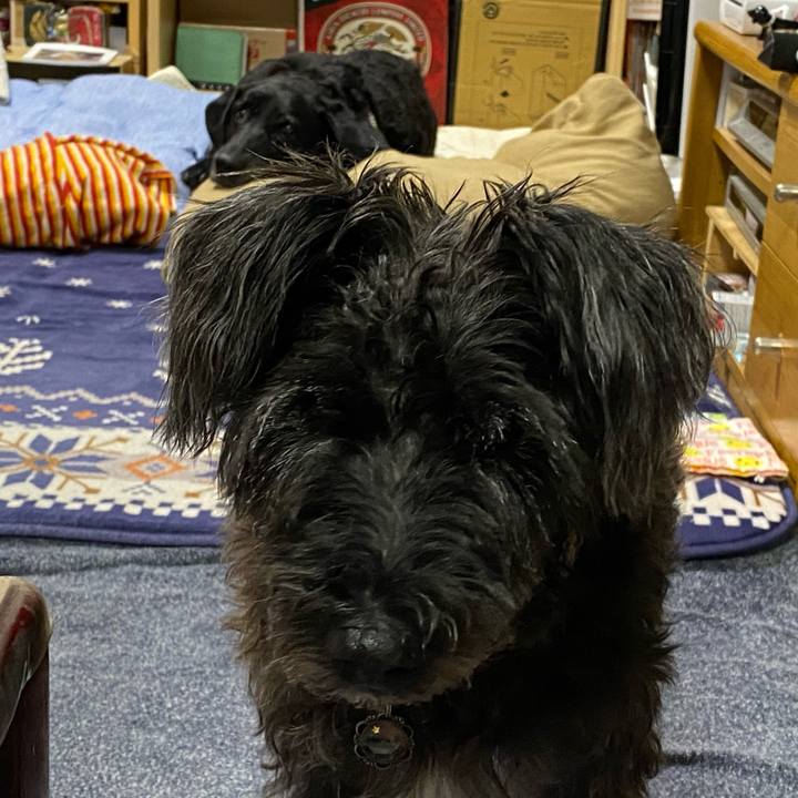 E76250ef 774e 4870 9142 6a8c1f2d6618 1601972685814