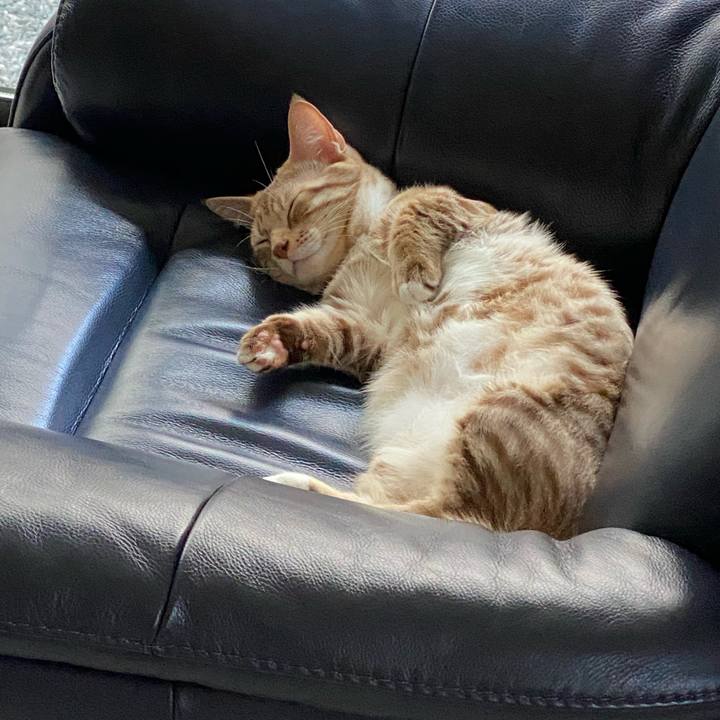 E762635d 53a5 41ba 97ca 963cf366ed5b 1599271869104