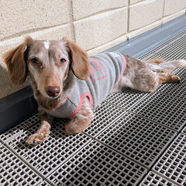 E7629d0f 286d 418f 8bb5 7a1364e30ee3 1766373799566