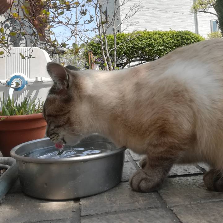 E762ad35 2659 4943 825a d0bbb20d04a6 1522125345230