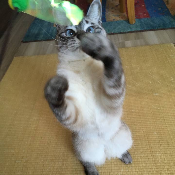 E762b612 16a6 4d7e 9cb0 0b430ce27c8b 1585106226372