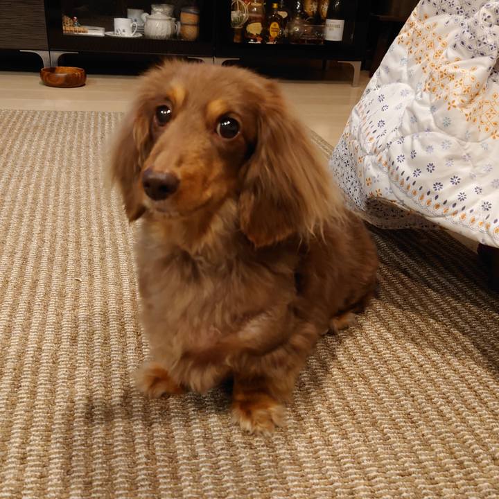 E762bd63 b517 4670 8c1f 0a880b095ef5 1711286790764