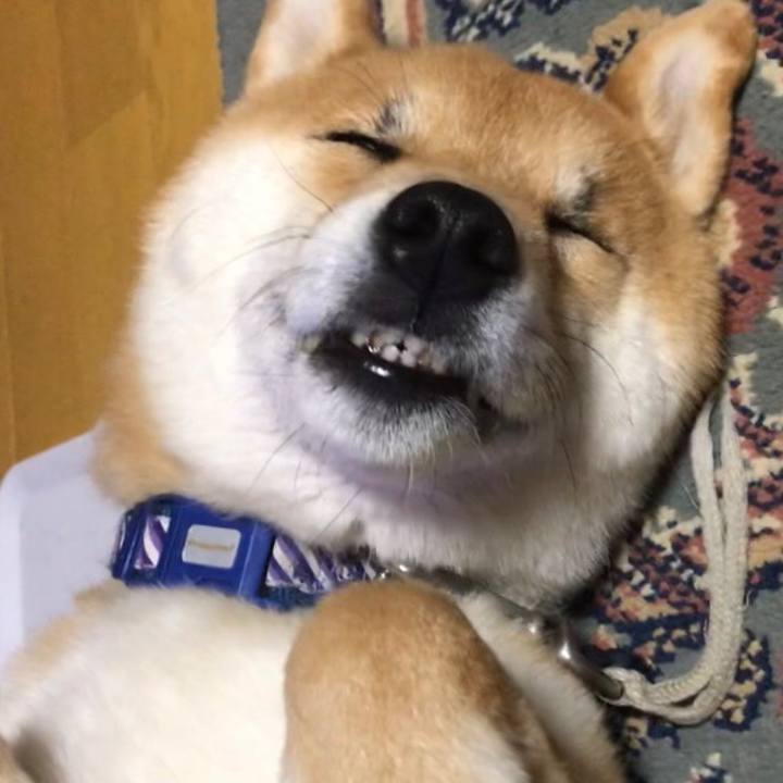 E762dd9a b18c 43f1 a571 9f244864db7c 1558443000525