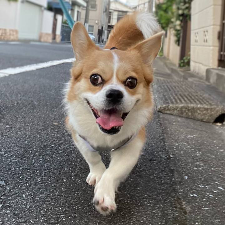 E762dda0 693d 43af 8bad 15f01dd03b66 1627089560806