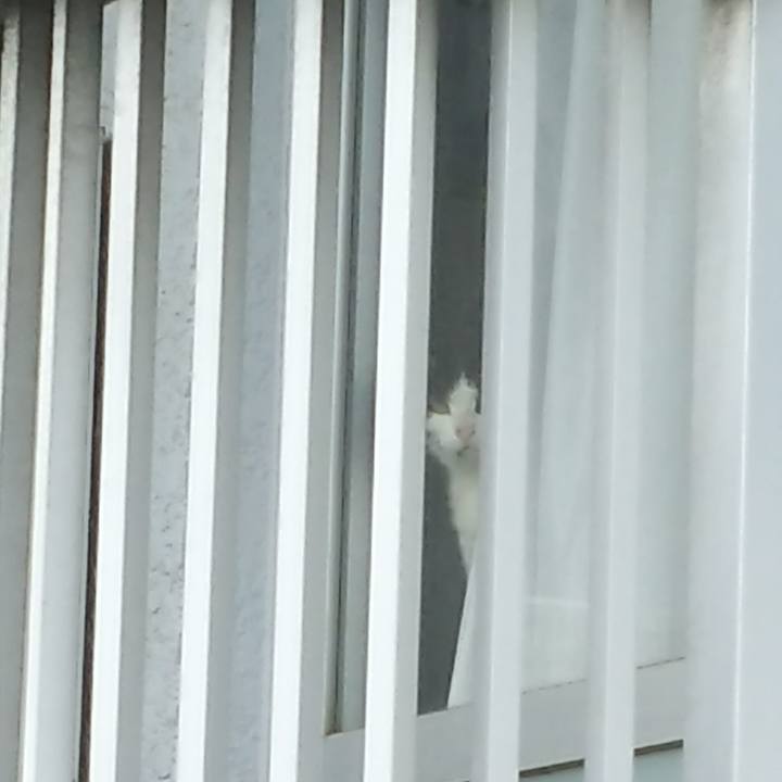 E762e81e 3b63 4572 842d 6a9a9c88bdb9 1528693600673