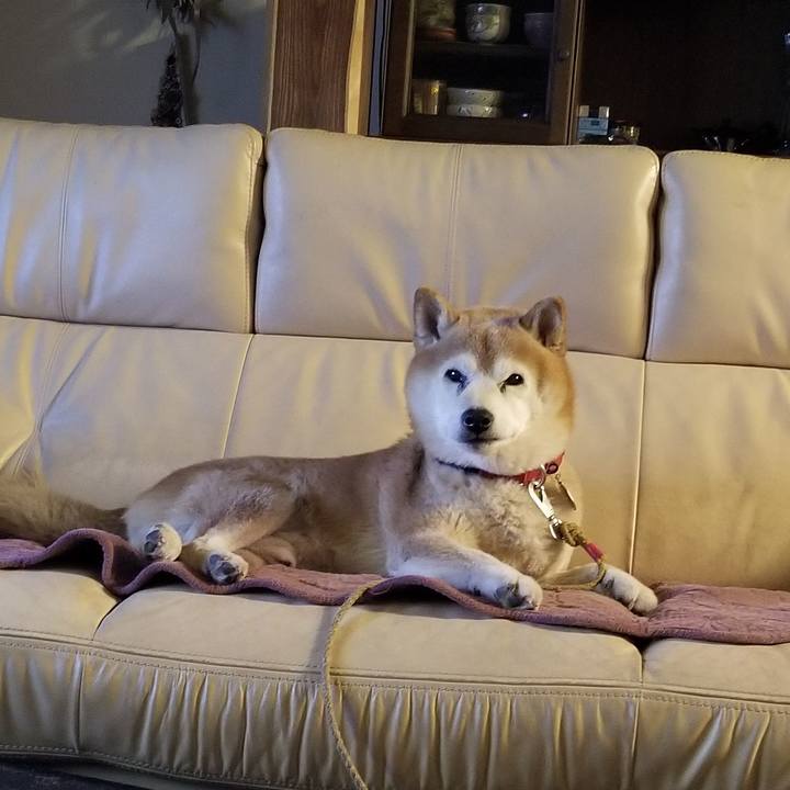 E762f2d0 c88d 4f2d ab7b 2bf6afcc6fe6 1733221666902