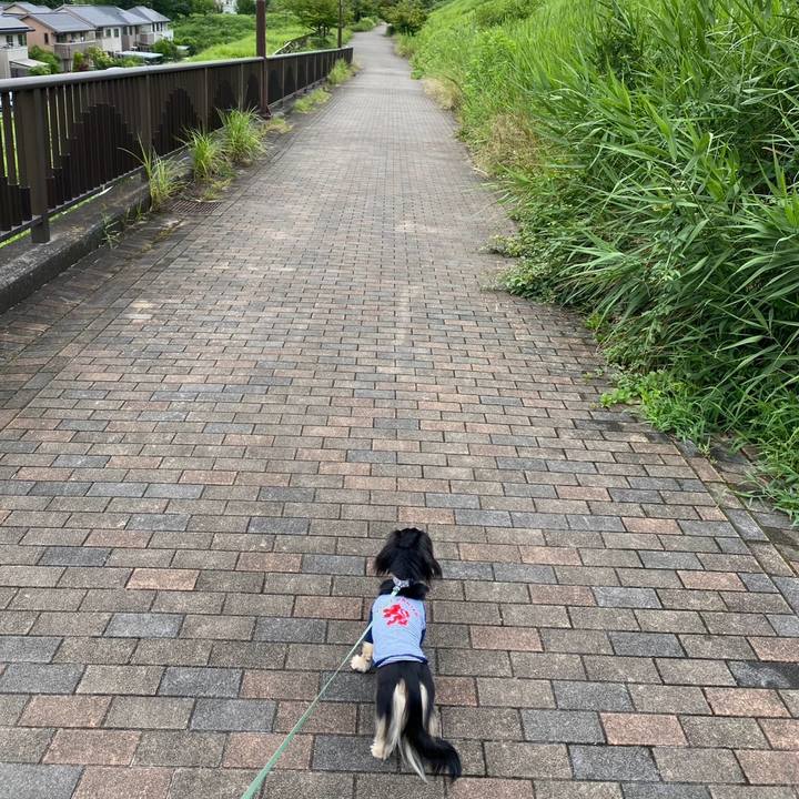 E763115d 9024 4fb9 84a1 5dd75c33aabc 1752279407906