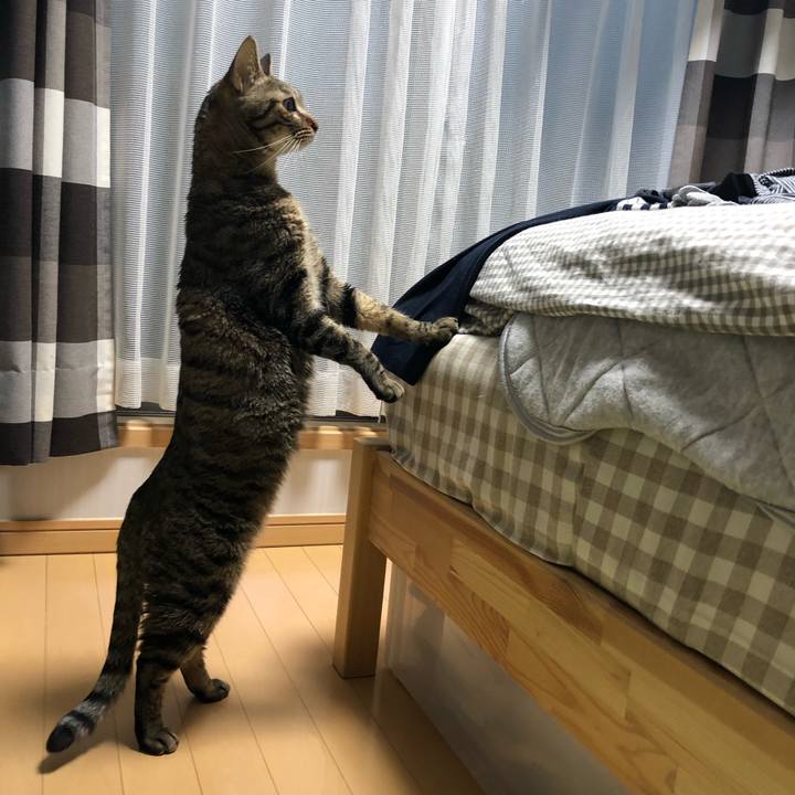 E7631ea2 da90 42ef 88ef 79e19690dc11 1550683230015